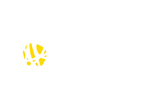 Holbrook Paddock Eggs